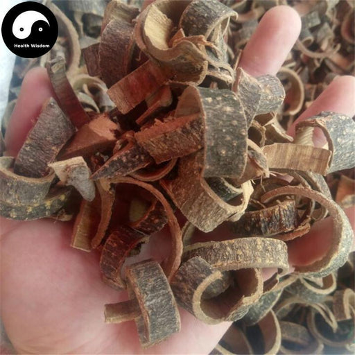 Hai Tong Pi 海桐皮, Cortex Erythrinae, Aralia Chinensis Bark