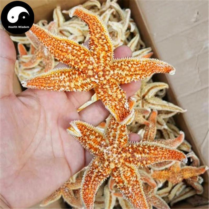 Hai Xing 海星, Starfish, Sea Star, Five-pointed Star, Asterias Rollestoni-Health Wisdom™