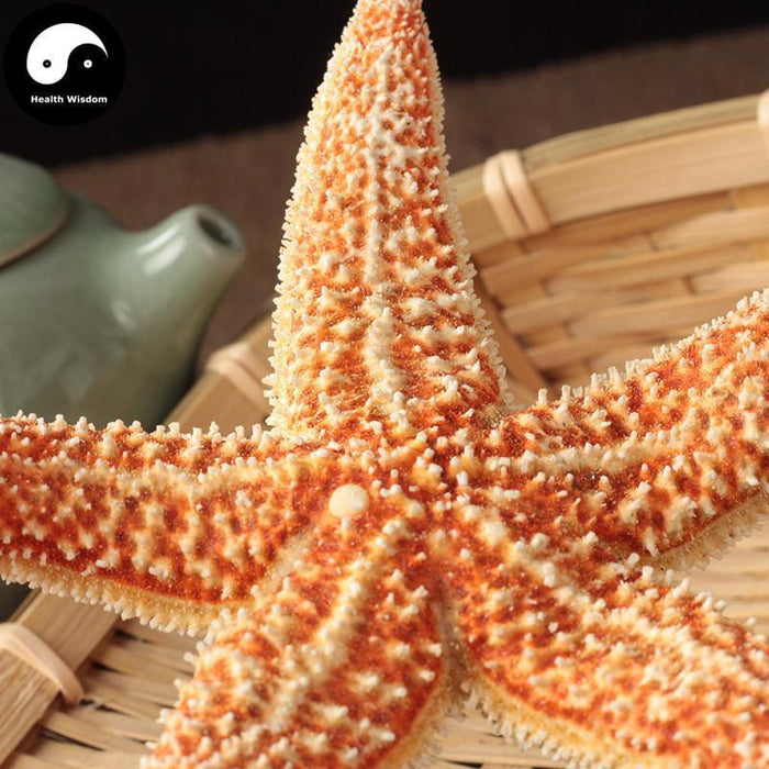 Hai Xing 海星, Starfish, Sea Star, Five-pointed Star, Asterias Rollestoni-Health Wisdom™