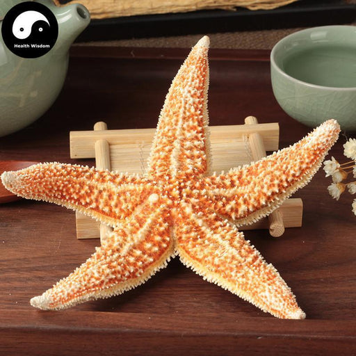 Hai Xing 海星, Starfish, Sea Star, Five-pointed Star, Asterias Rollestoni