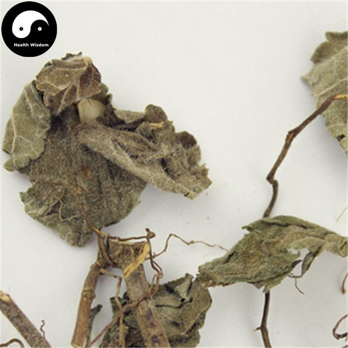 Han Xin Cao 韩信草, Herba Scutellaria Indica, Er Wa Cao, Da Li Cao-Health Wisdom™