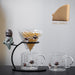 Hand Brewed Coffee Filter Set With Two Glass Coffee Cups Hand Brewing Pots Coffee Pour Over Coffee Kettle Pot Dripper Stand Cup-Health Wisdom™