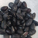 Hei Dao Dou Zi 黑刀豆子, Sword Jackbean Seed, Black Semen Canavaliae-Health Wisdom™