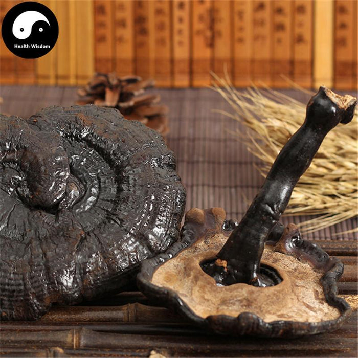Hei Ling Zhi 黑灵芝, Dried Reishi Mushroom Tea, Ganoderma Lucidum, Wild Black Lingzhi-Health Wisdom™