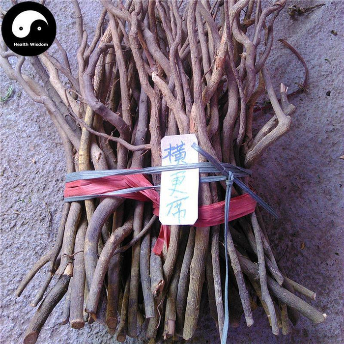 Heng Jing Xi 横经席, Calophyllum Membranaceum Root, Radix Calophyllum-Health Wisdom™