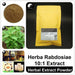 Herba Rabdosiae Extract Powder, Rabdosia Rubescens Herb Isodon rubescens P.E. 10:1, Dong Ling Cao