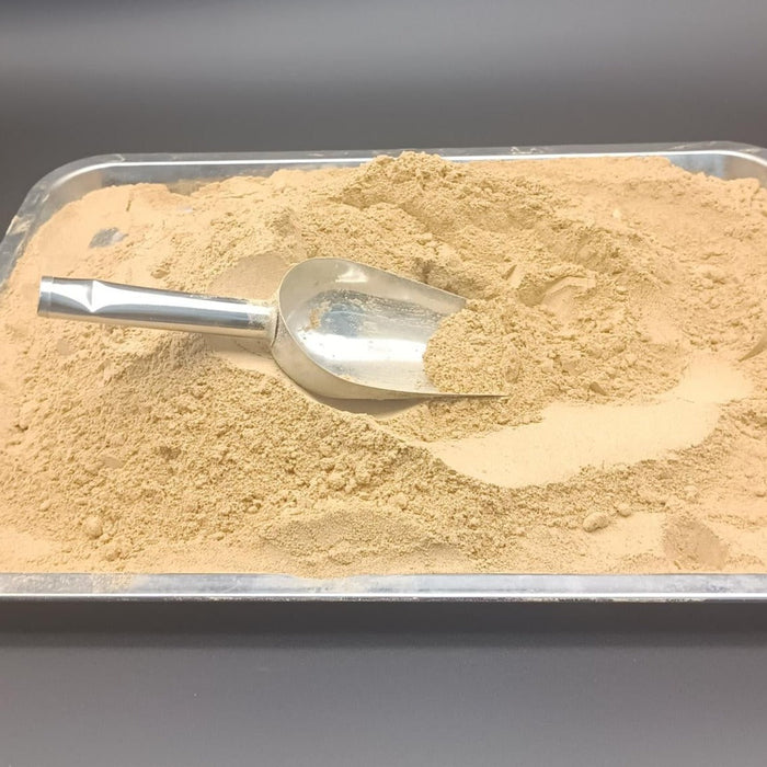 Hericium Erinaceus Pure Powder, Lion's Mane Mushroom, Yamabushitake, Hou Tou Gu 猴头菇-Health Wisdom™