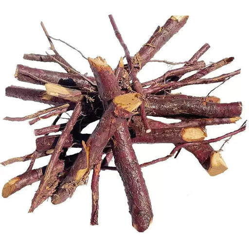 Hong Dou Shan Gen 红豆杉根, Taxus Chinensis Roots Tea, Ci Bai Song, Taxus Wallichiana Root-Health Wisdom™