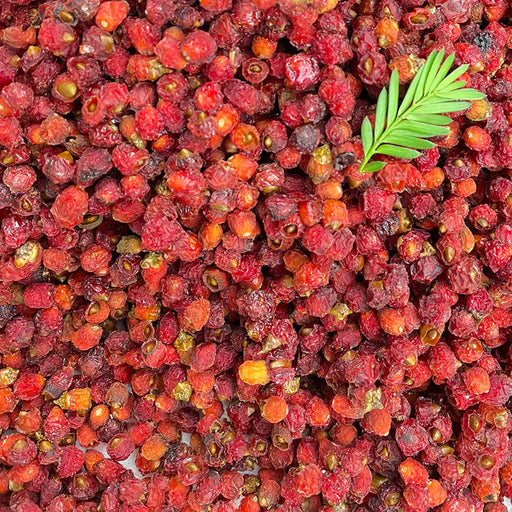 Hong Dou Shan Guo 红豆杉果, Taxus Chinensis Fruits Tea, Ci Bai Song, Taxus Wallichiana Seeds-Health Wisdom™