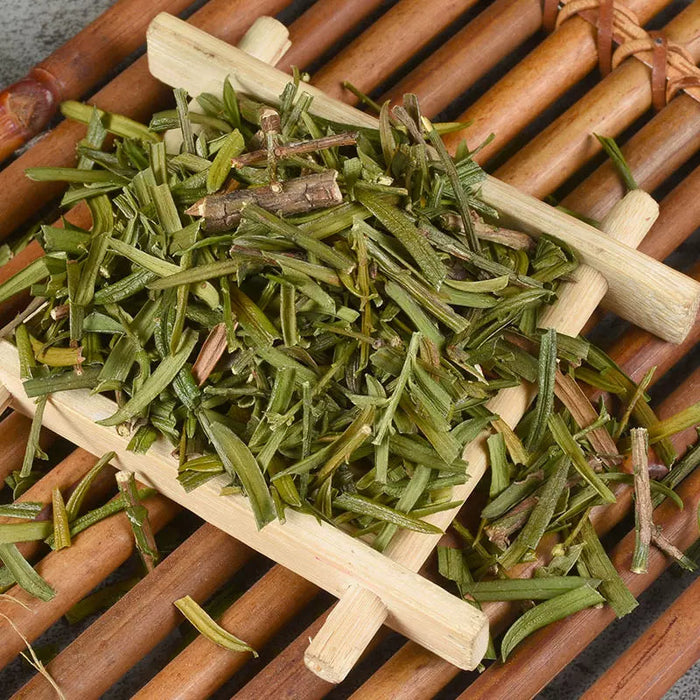 Hong Dou Shan Ye 红豆杉叶, Taxus Chinensis Leaf, Ci Bai Song Leaves Tea, Taxus Wallichiana-Health Wisdom™