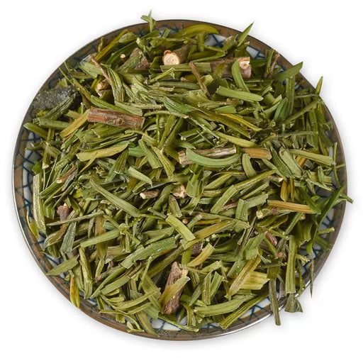 Hong Dou Shan Ye 红豆杉叶, Taxus Chinensis Leaf, Ci Bai Song Leaves Tea, Taxus Wallichiana-Health Wisdom™