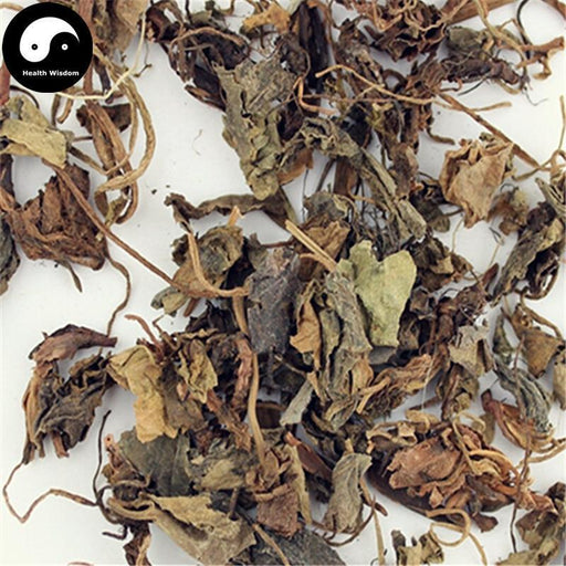 Hu Er Cao 虎耳草, Saxifrage Herba, Saxifragae Herb, Shi He Ye-Health Wisdom™