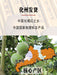 Hua Ju Hong Guo Pian 化橘紅果, 20 Years Dried Fructus Citri Grandis, Throat Care Herb Pummelo Fruit