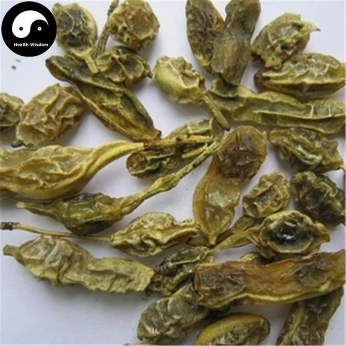 Huai Jiao 槐角, Huai Shi 槐实, Fructus Sophorae, Huai Zi, Pagodatree Pod Fruits