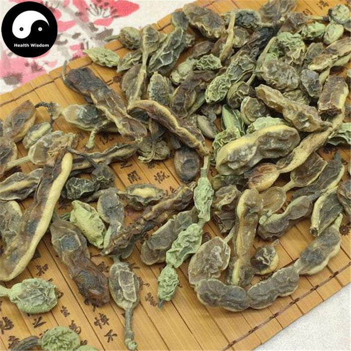 Huai Jiao 槐角, Huai Shi 槐实, Fructus Sophorae, Huai Zi, Pagodatree Pod Fruits-Health Wisdom™