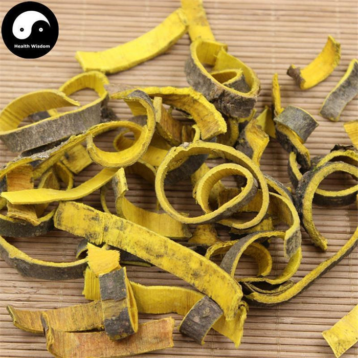Huang Bo Pi 黃柏皮, Cortex Phellodendri, Huang Bai, Amur Corktree Bark-Health Wisdom™