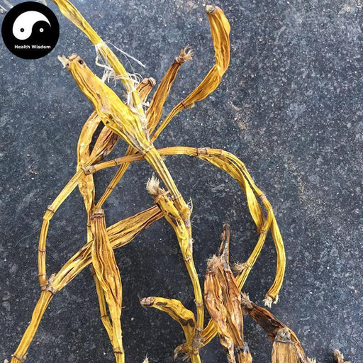 Huang Cao Shi Hu 黄草石斛, Herba Dendrobium Chrysanthum