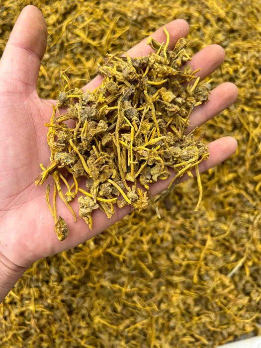 Huang Long Cao Gen 黄龙草根, Tibet Tea Yellow Dragon Grass Roots, Snow Moutain Tea Xue Ling Cha 雪灵茶-Health Wisdom™