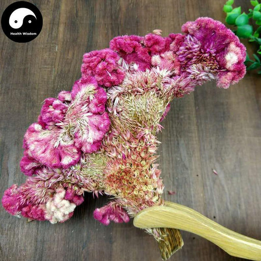 Ji Guan Hua 鸡冠花, Cockscomb Flower, Flos Celosiae Cristatae-Health Wisdom™