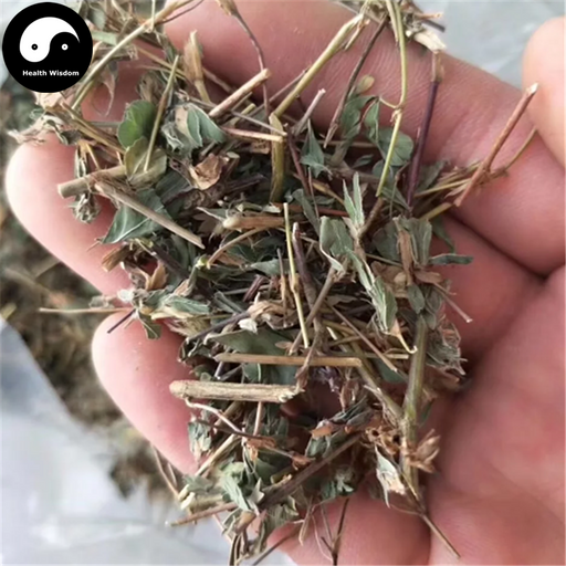 Ji Yan Cao 雞眼草, Japan Clover Herb, Herba Kummerowiae Striatae