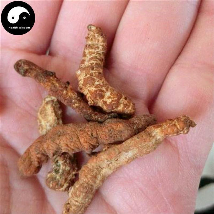 Jiang Can (Heated) 炒僵蚕, Bombyx Batryticatus, Silkworm Larva, Bombyx Mori