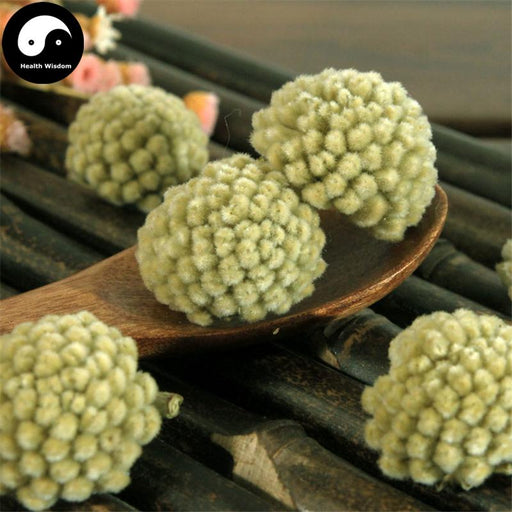 Jie Xiang Hua 结香花, Oriental Paperbush Flower, Flos Edgeworthia Chrysantha, Lv Luo Hua-Health Wisdom™