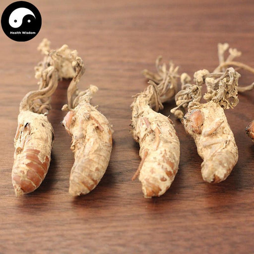 Jin Chan Hua 金蝉花, Ophiocordyceps Sobolifera, Cicada Fungus-Health Wisdom™