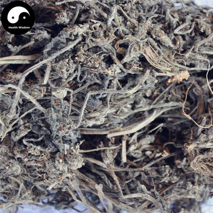 Jin Gu Cao 筋骨草, Decumbent Bugle Herb, Herba Ajugae, Bai Mao Xia Ku Cao