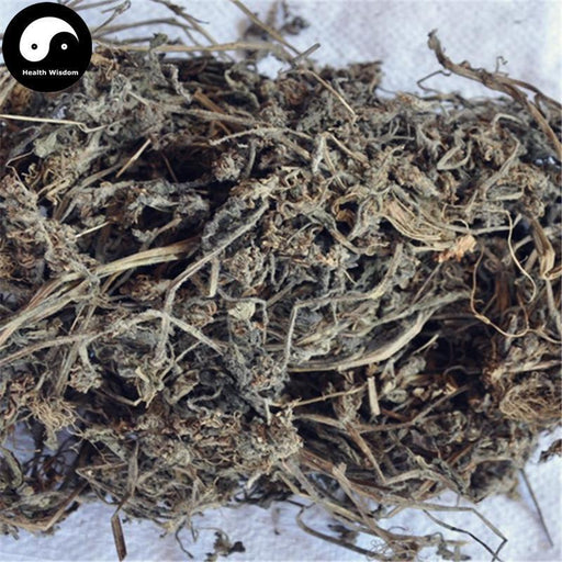 Jin Gu Cao 筋骨草, Decumbent Bugle Herb, Herba Ajugae, Bai Mao Xia Ku Cao