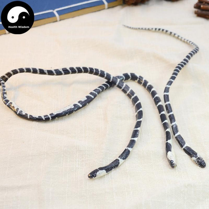 Jin Qian Bai Hua She 金钱白花蛇, Bungarus Multicinctus, Dried Medicine Snake