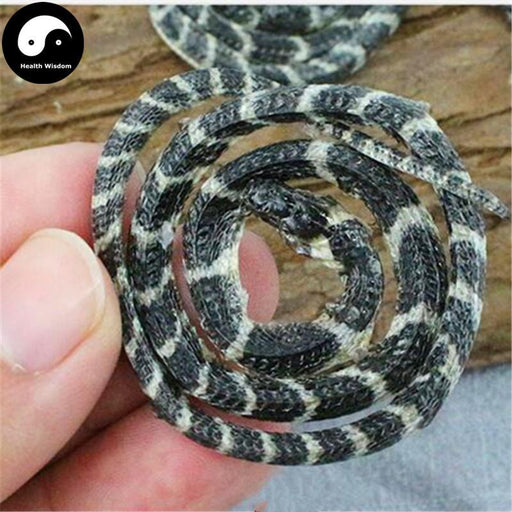 Jin Qian Bai Hua She 金钱白花蛇, Bungarus Multicinctus, Dried Medicine Snake-Health Wisdom™