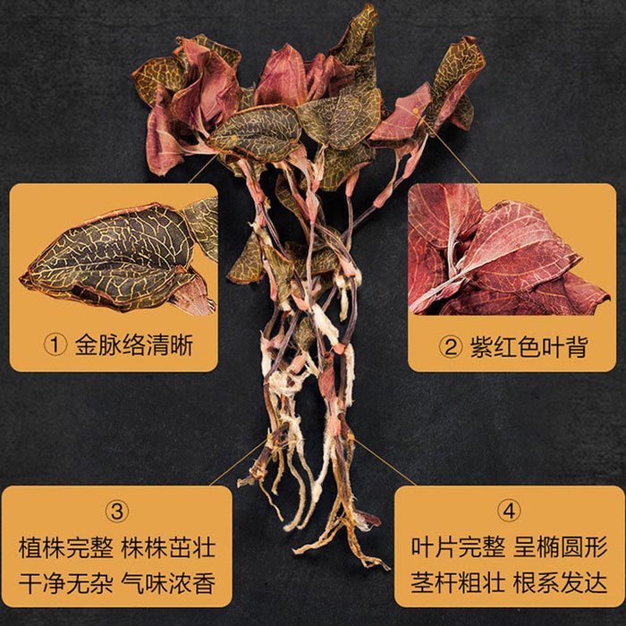 Jin Xian Lian Fen 金线莲粉, Pure Powder Herba Anoectochilus Roxburghii, Jin Xian Lan-Health Wisdom™