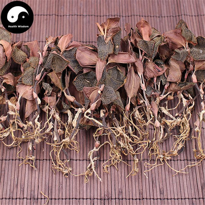 Jin Xian Lian 金线莲, Herba Anoectochilus Roxburghii, Jin Xian Lan