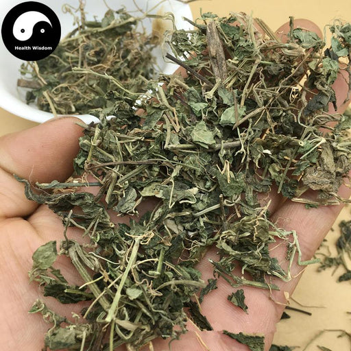 Jue Chuang Cao 爵床草, Creeping Rostellularia Herb, Herba Rostellulariae