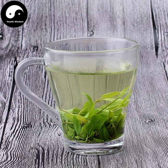 Ku Ding Cha 苦丁茶, Holly Leaf, Folium Llicis Latifoliae, Chinese Holly Leaf Tea