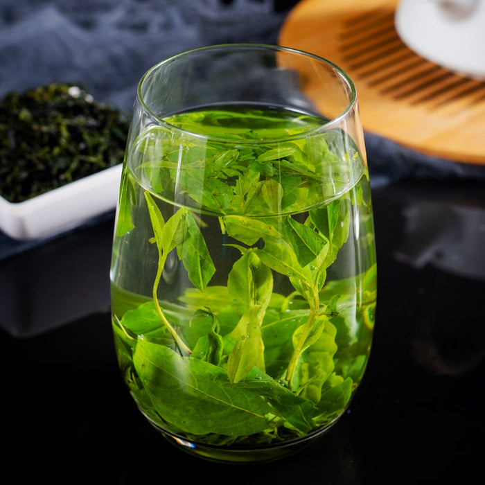 Ku Ding Cha 苦丁茶, Holly Leaf, Folium Llicis Latifoliae, Chinese Holly Leaf Tea