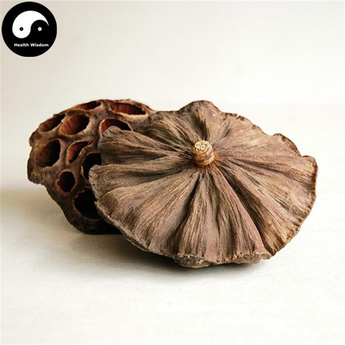 Lian Fang 蓮房, Lotus Seed Pot, Receptaculum Nelumbinis