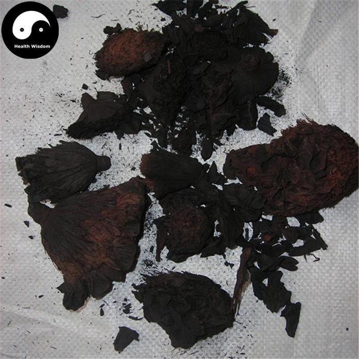 Lian Fang Tan 蓮房碳, Lotus Seed Pot Carbon, Receptaculum Nelumbinis-Health Wisdom™