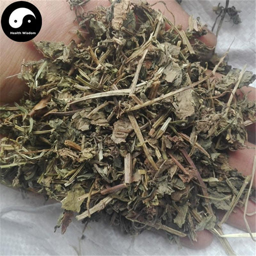 Lian Qian Cao 连钱草, Longtube Ground Ivy Herb, Herba Glechoma Longituba, Huo Xue Dan Cao