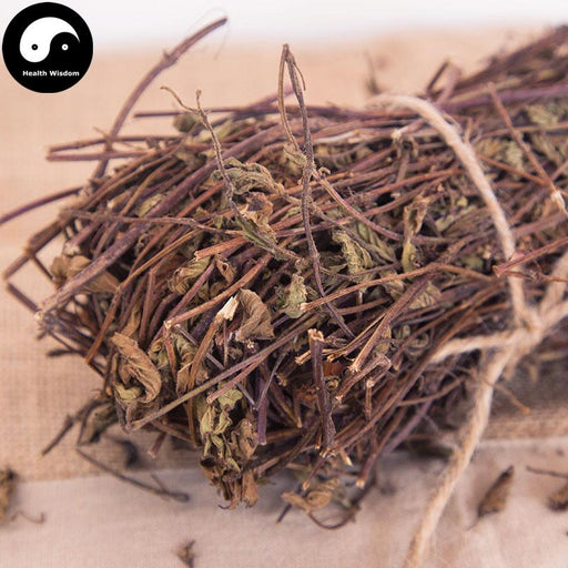 Liang Fen Cao 凉粉草, Chinese Mesona Herb, Mesona Chinensis Herb, Xian Cao