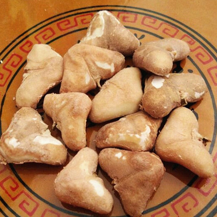 Ling Jiao Mi 菱角米, Water Chestnut Meat, Water Calptrop Base Peel, Trapa Bispinosa, Gui Jian Chou-Health Wisdom™