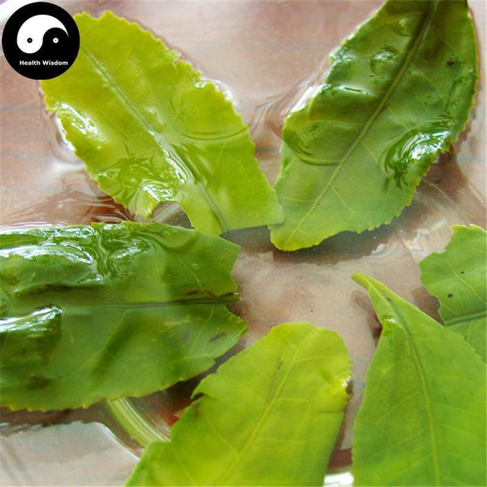 Liu An Gua Pian 六安瓜片 Green Tea Melon Slice