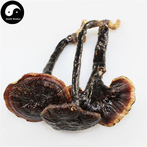 Long Ling Zhi 灵芝, Dried Reishi Mushroom, Ganoderma Lucidum Tea, Wild Lingzhi-Health Wisdom™
