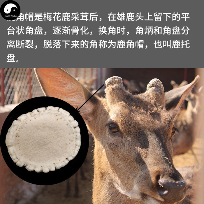 Lu Jiao Mao Fen 鹿角帽粉, Pure Sika Deer Antler Powder, Lu Rong Pan-Health Wisdom™