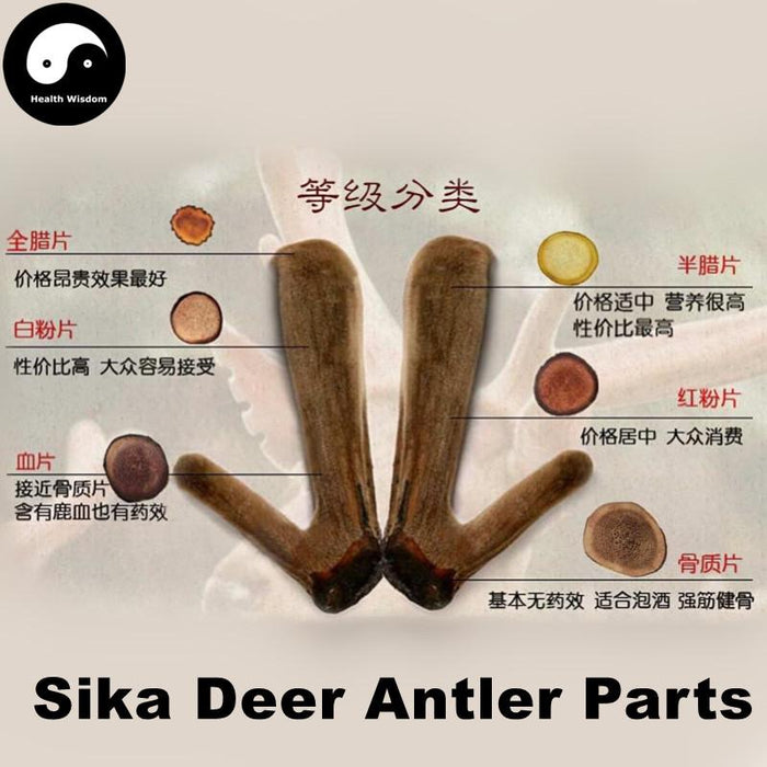 Lu Rong Gu Zhi Pian 鹿茸骨质片, Sika Deer Antler Slice, Energy Tonic Lu Rong-Health Wisdom™