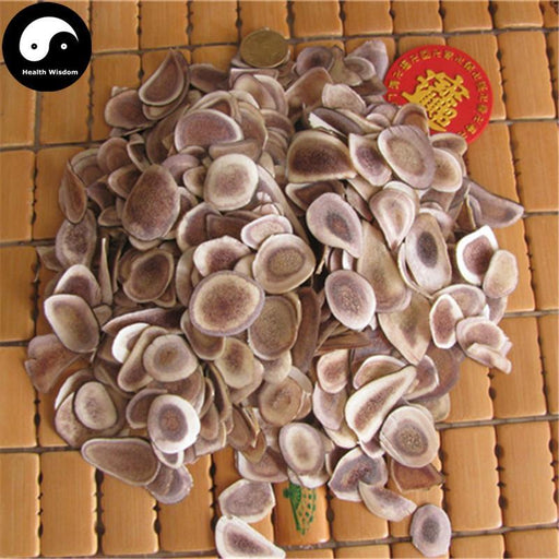 Lu Rong Gu Zhi Pian 鹿茸骨质片, Sika Deer Antler Slice, Energy Tonic Lu Rong