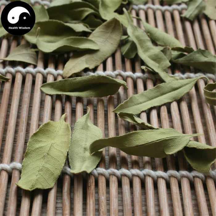 Luo Bu Ma Ye 羅布麻葉, Dogbane Leaf, Folium Apocyni Veneti-Health Wisdom™