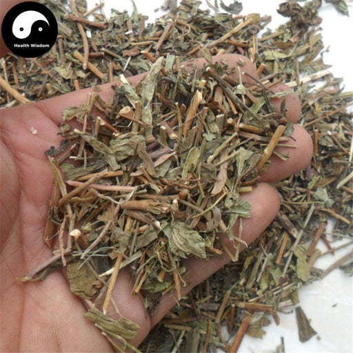Ma Lan Cao 马兰草, Herba Kalimeris Indica, Indian Kalimeris Herb, Lu Bian Ju-Health Wisdom™