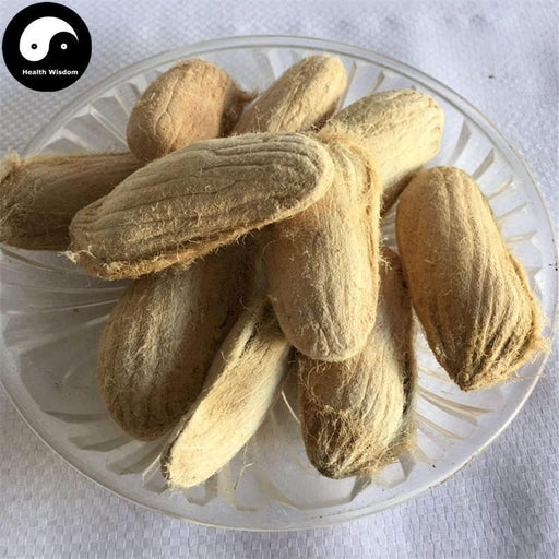 Mang Guo He 芒果核, Semen Mangiferae Indicae, Mango Seed-Health Wisdom™