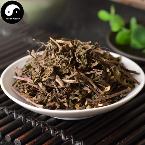 Mao Xu Cao 猫须草, Herba Tea Clerodendranthus Spicatus, Mao Xu Gong, Shen Cha-Health Wisdom™